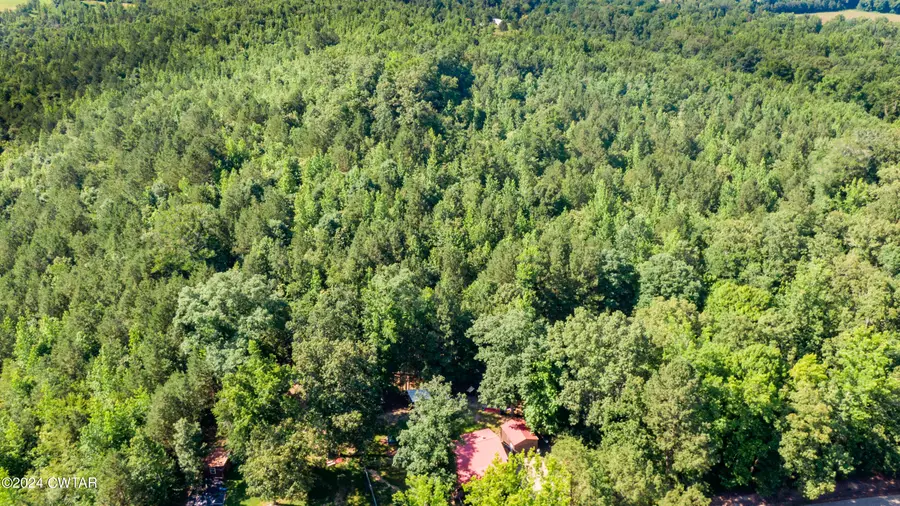 546 N Morgan Creek Road, Sugar Tree, TN 38380 - Image #2