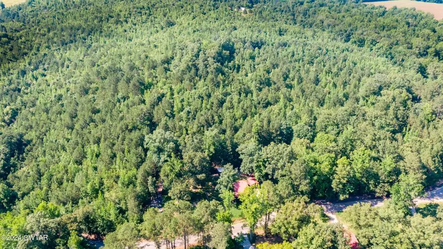 546 N Morgan Creek Road, Sugar Tree, TN 38380 - Image #3