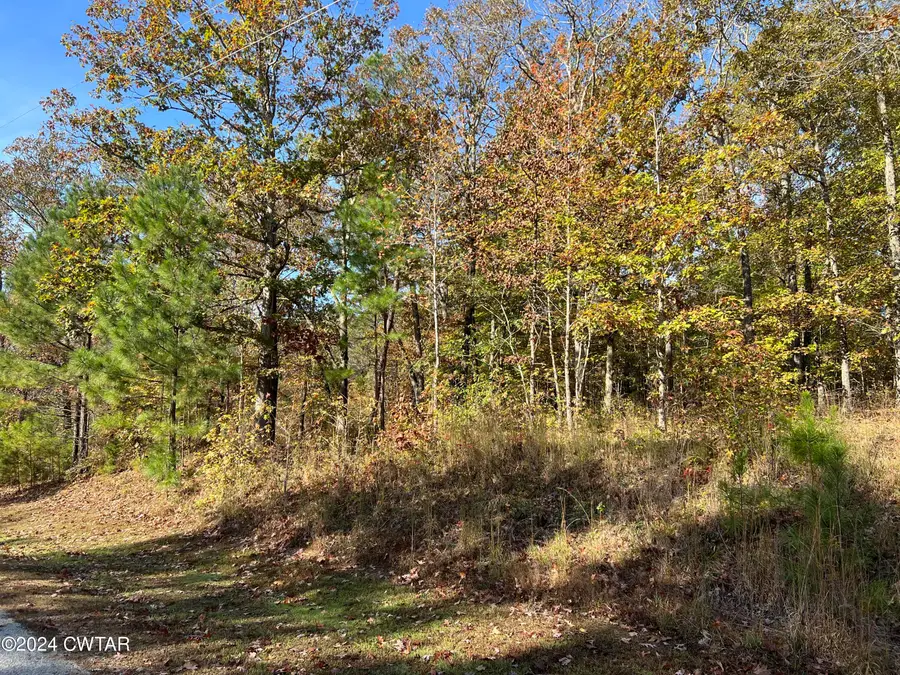 908 Excalibur Trail (lot 102), Cedar Grove, TN 38321 - Image #2