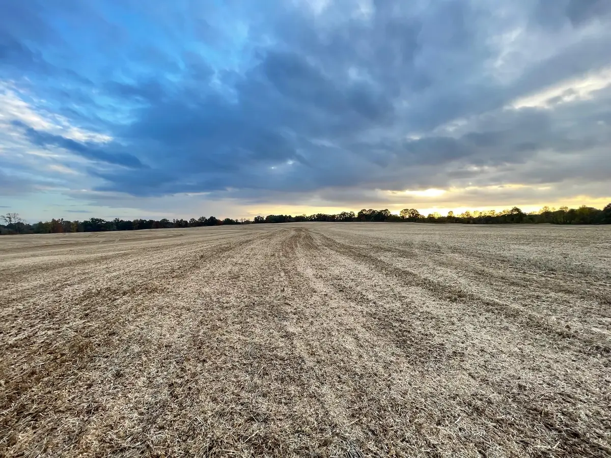 00 Hwy 76 & Anderson Ave, Brownsville, TN 38012 - Image #1