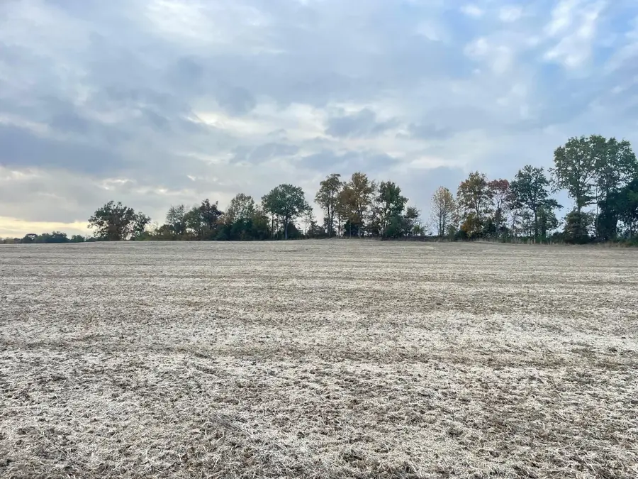 00 Hwy 76 & Anderson Ave, Brownsville, TN 38012 - Image #3