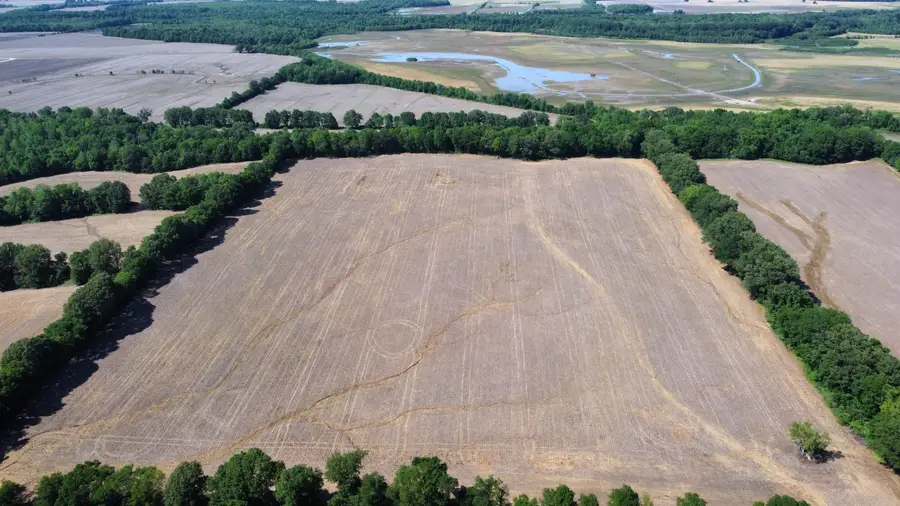 0 Biffle Rd, Newbern, TN 38059 - Image #2