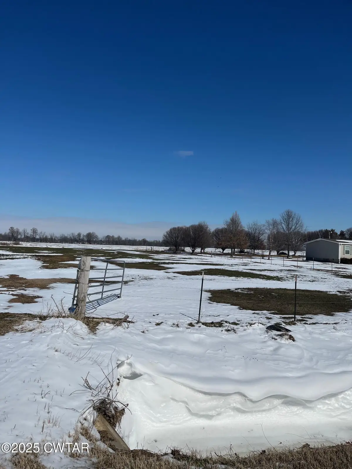 0 Wynnburg Bluebank Road, Tiptonville, TN 38079 - Image #1