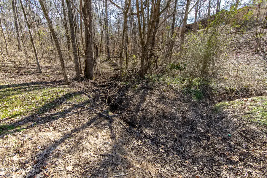 000 Salt Lane, Savannah, TN 38372 - Image #3