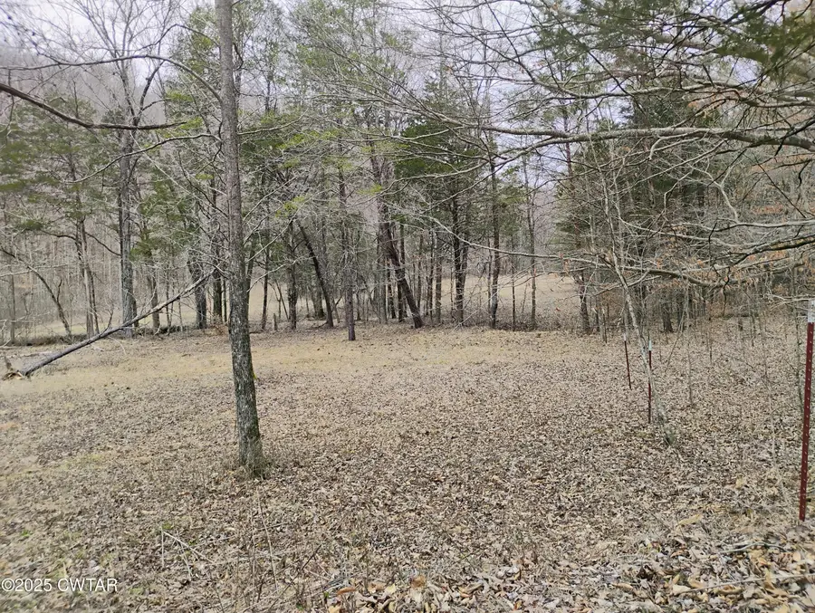 0 Sewell Branch Road, Clifton, TN 38425 - Image #2