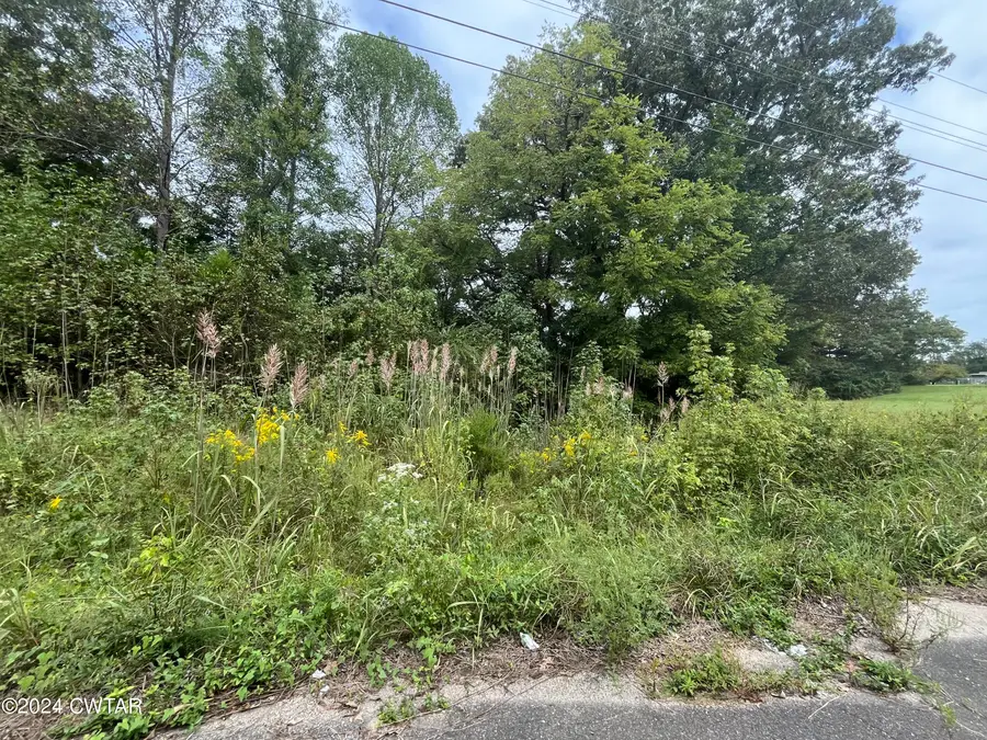 53 Beaumont Drive, Jackson, TN 38305 - Image #3