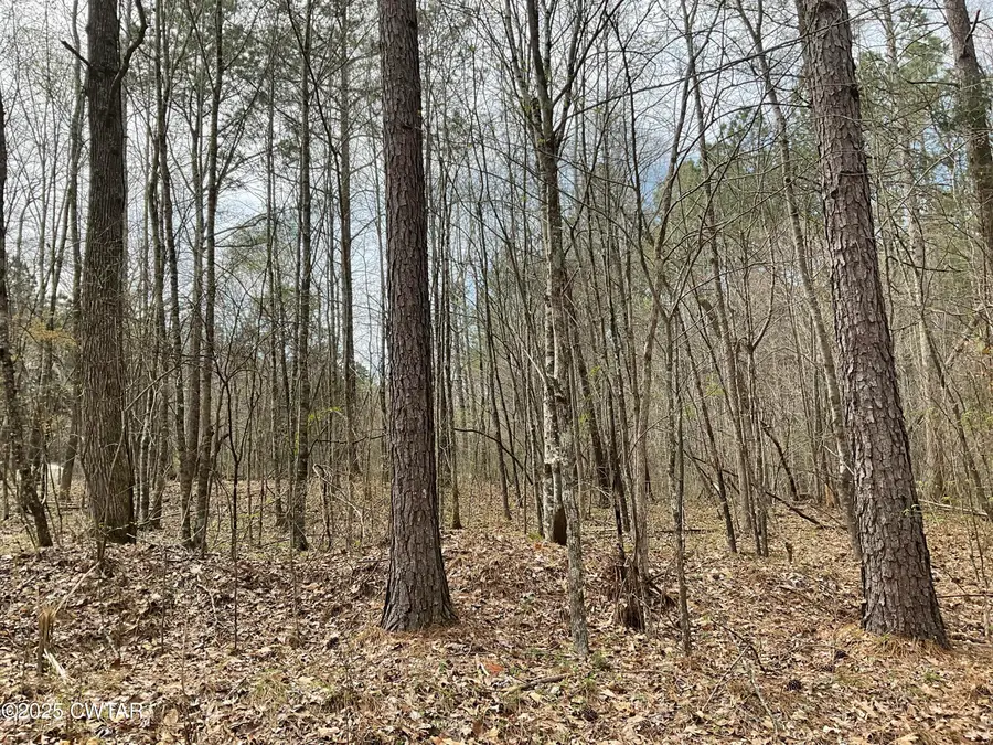 592 Hubberd Town Road, Beech Bluff, TN 38313 - Image #2