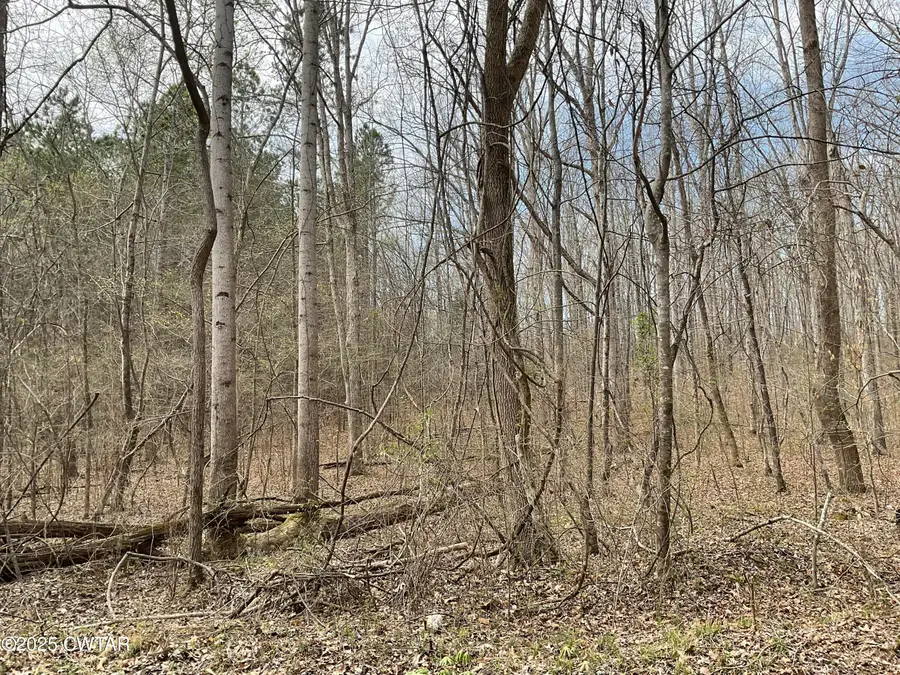 592 Hubberd Town Road, Beech Bluff, TN 38313 - Image #3