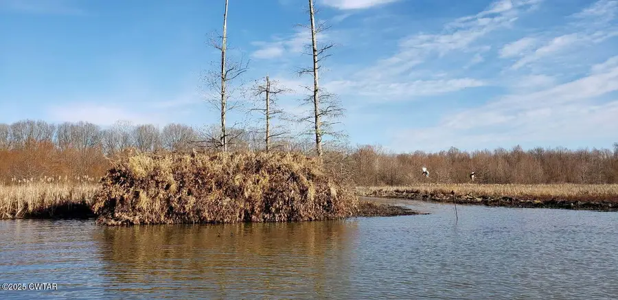 000 Gibson Wells, Humboldt, TN 38343 - Image #3