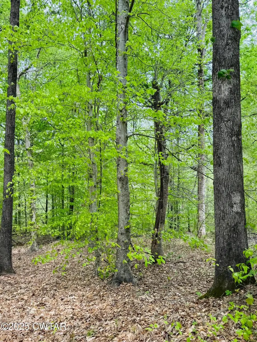 0 Tn-100, Medon, TN 38356 - Image #3