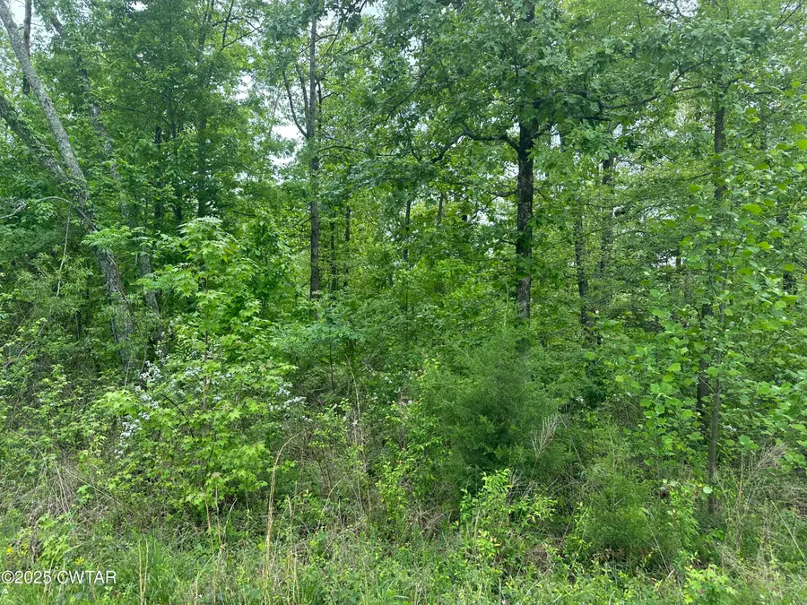 0 Arl Bailey Road, Finger, TN 38334 - Image #2