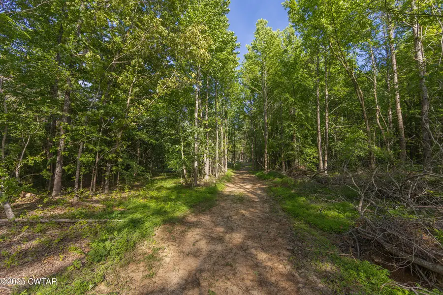 0 Collins Rd., Medon, TN 38356 - Image #2