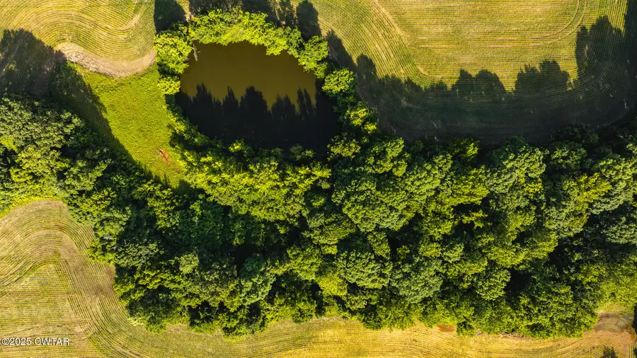 0 Will Young Rd., Greenfield, TN 38230 - Image #3