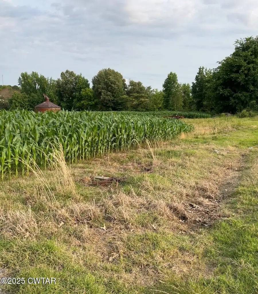 314 Palestine Road, Newbern, TN 38059 - Image #3