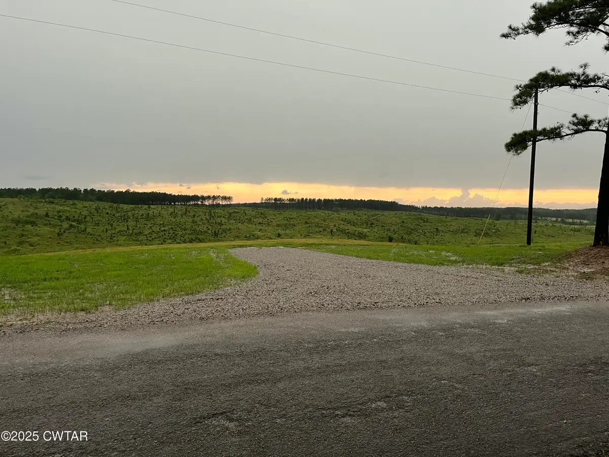 0 Otis Paine Road, Bethel Springs, TN 38315 - Image #1