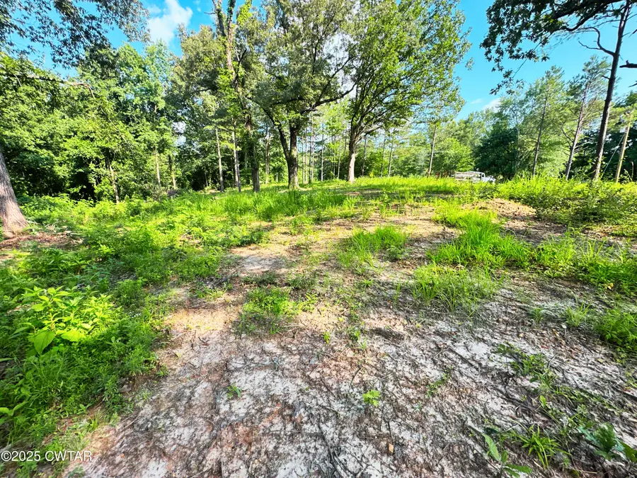 6335 Lake Hardeman Road, Saulsbury, TN 38067 - Image #2