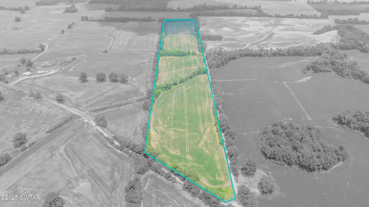 -- Holcomb Road, Ripley, TN 38063 - Image #1