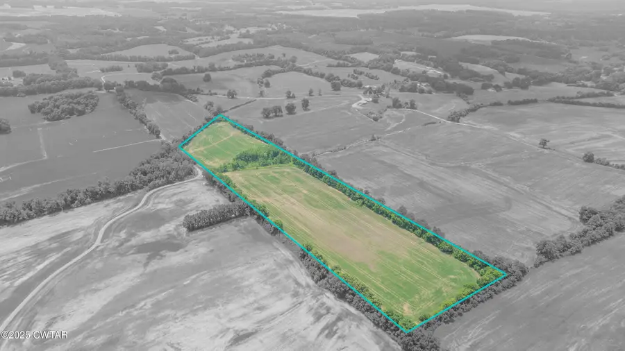 -- Holcomb Road, Ripley, TN 38063 - Image #2