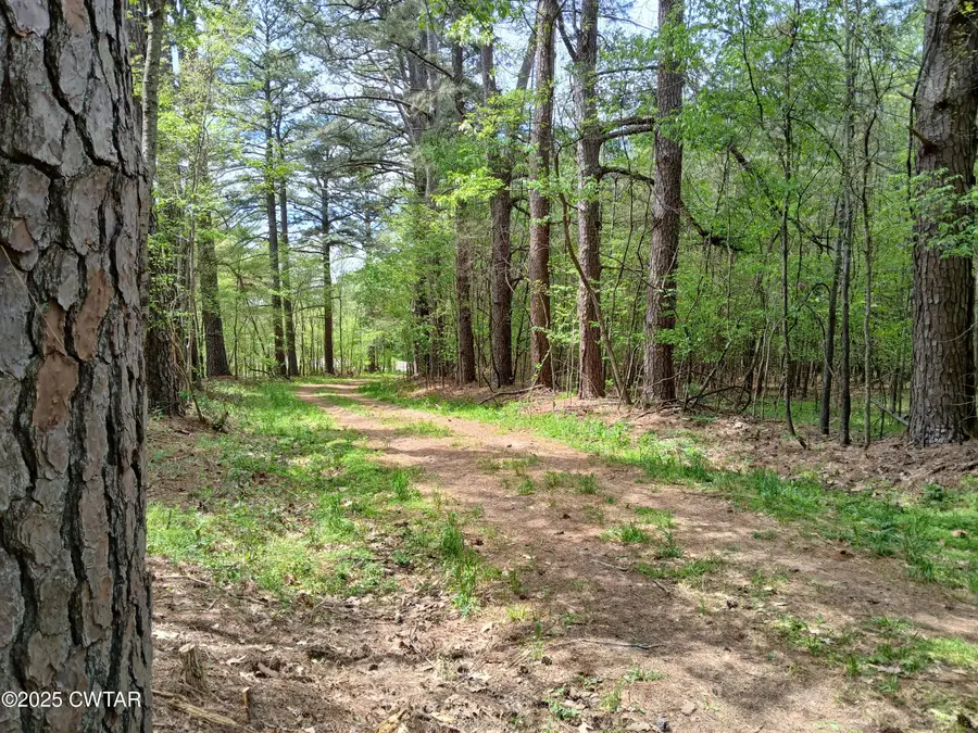 2998 N Central Avenue, Humboldt, TN 38343 - Image #2