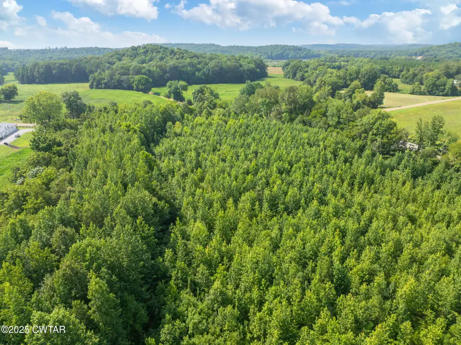 00 E Highway 100 E, Decaturville, TN 38329 - Image #3