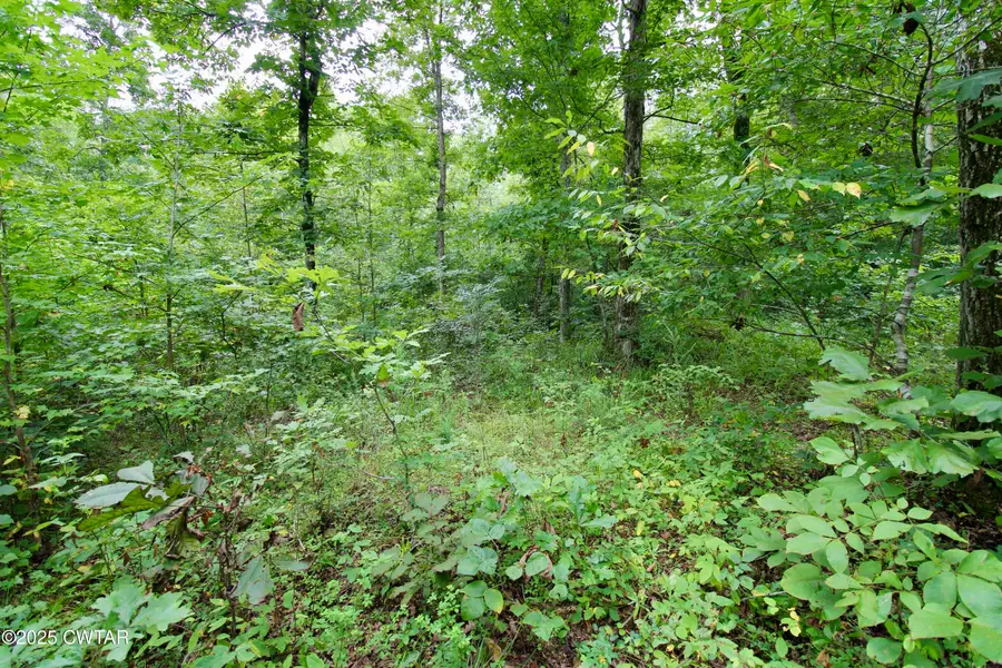 1124 Lick Creek Boat Dock Loop, Parsons, TN 38363 - Image #2