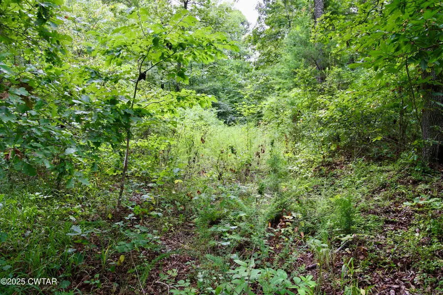 1124 Lick Creek Boat Dock Loop, Parsons, TN 38363 - Image #3