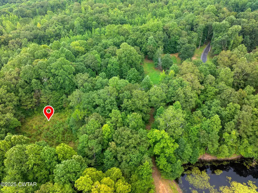 255 Jason Hollow Road, Cedar Grove, TN 38321 - Image #3