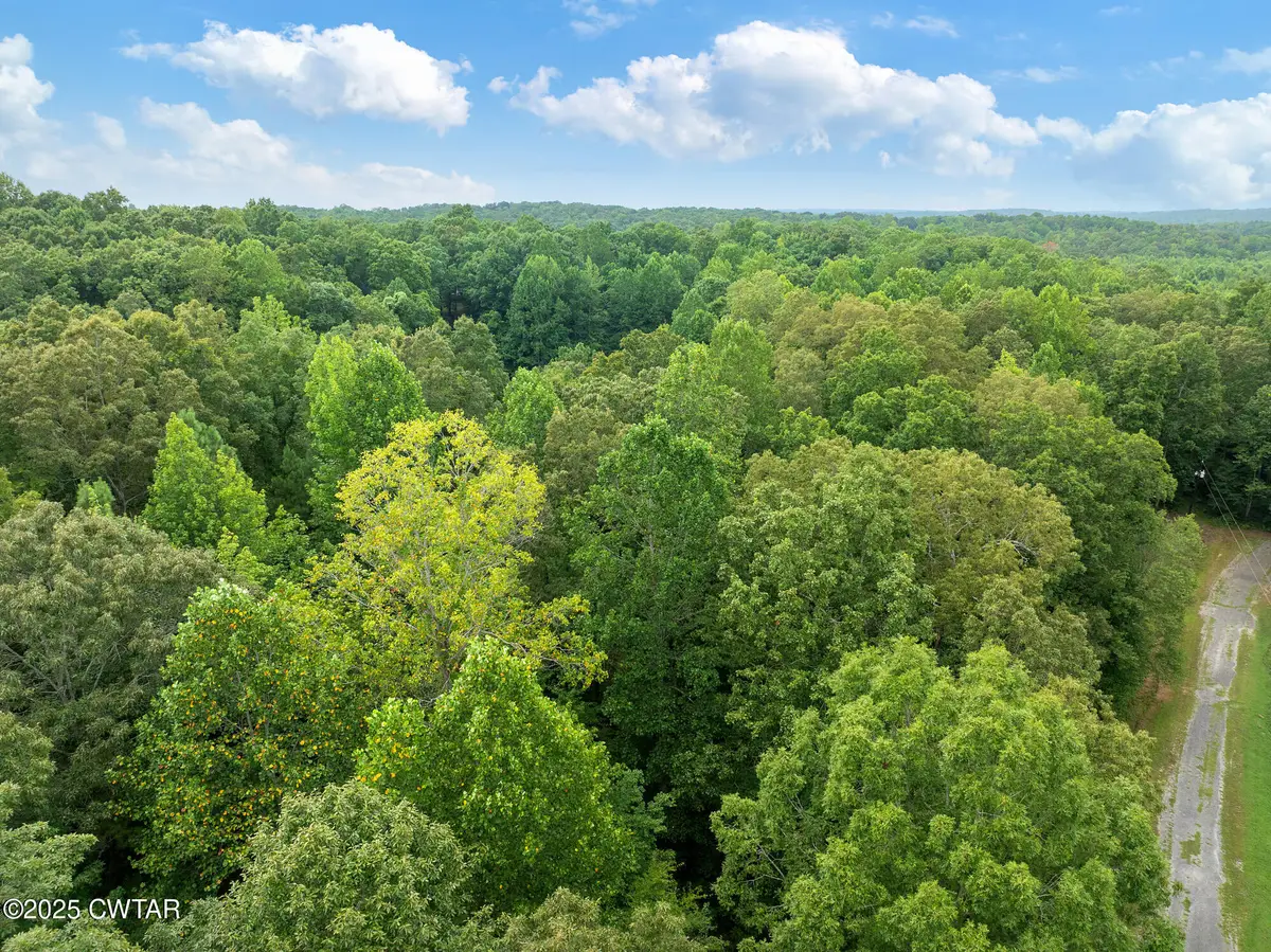 213 Jason Hollow Road, Cedar Grove, TN 38321 - Image #1