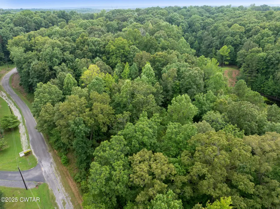 163 Jason Hollow Road, Cedar Grove, TN 38321 - Image #2