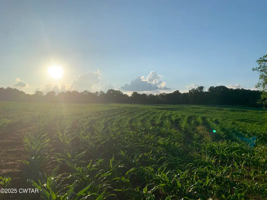 0 Steam Mill Ferry Road, Jackson, TN 38301 - Image #3