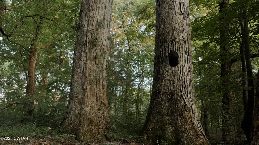 0 Aubrey Fergerson Road, Gadsden, TN 38337 - Image #2