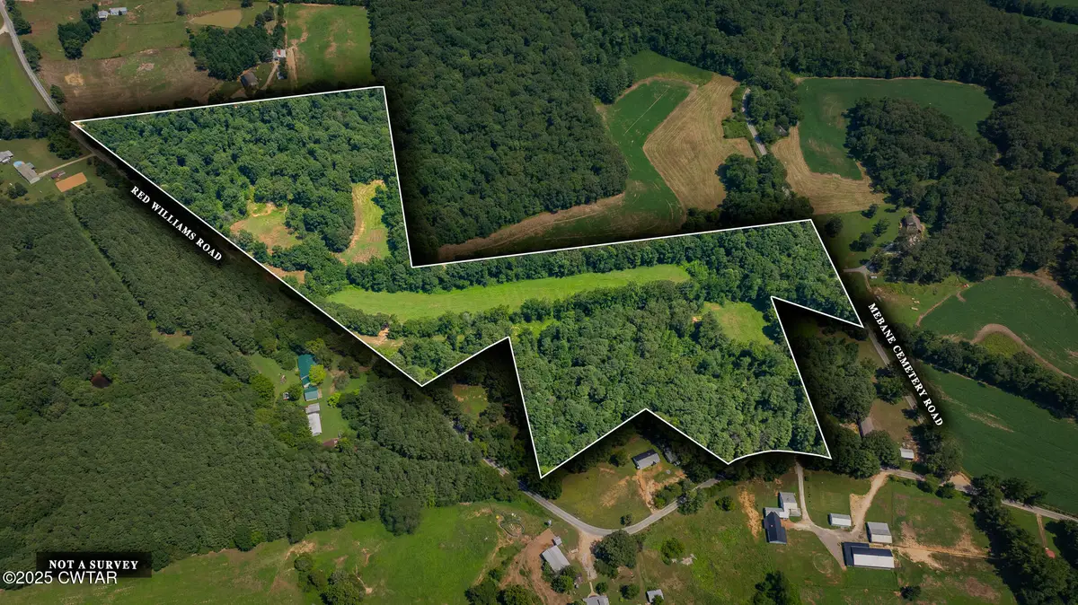 1060 Red Williams Road, Huntingdon, TN 38344 - Image #1