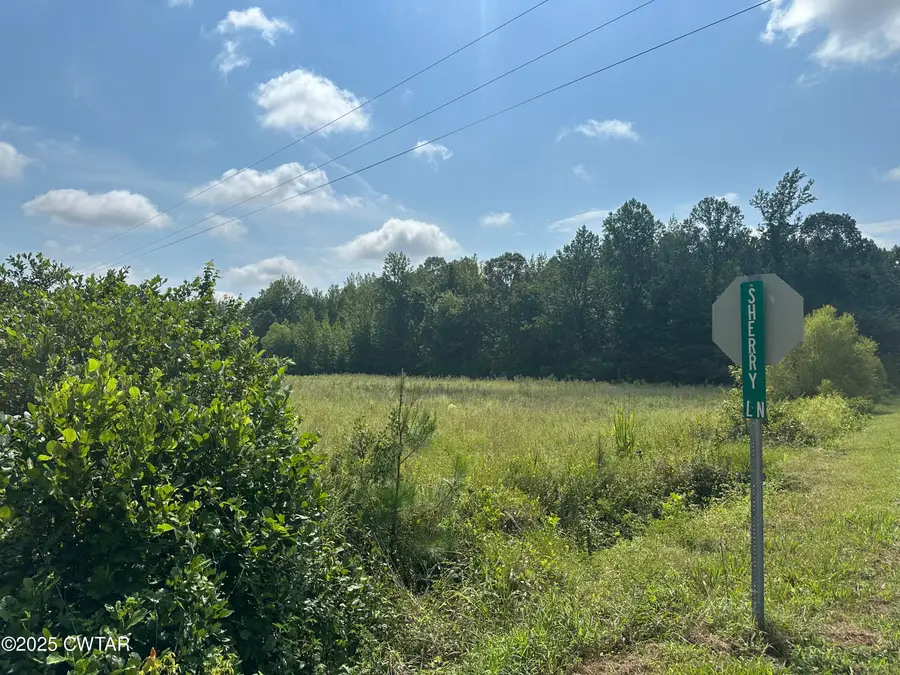 00 Lofton Road, Enville, TN 38332 - Image #3