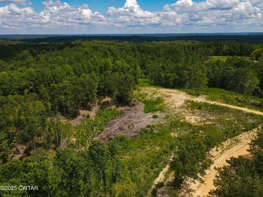 Tract 1 Ray Miller Rd, Sugar Tree, TN 38380 - Image #2