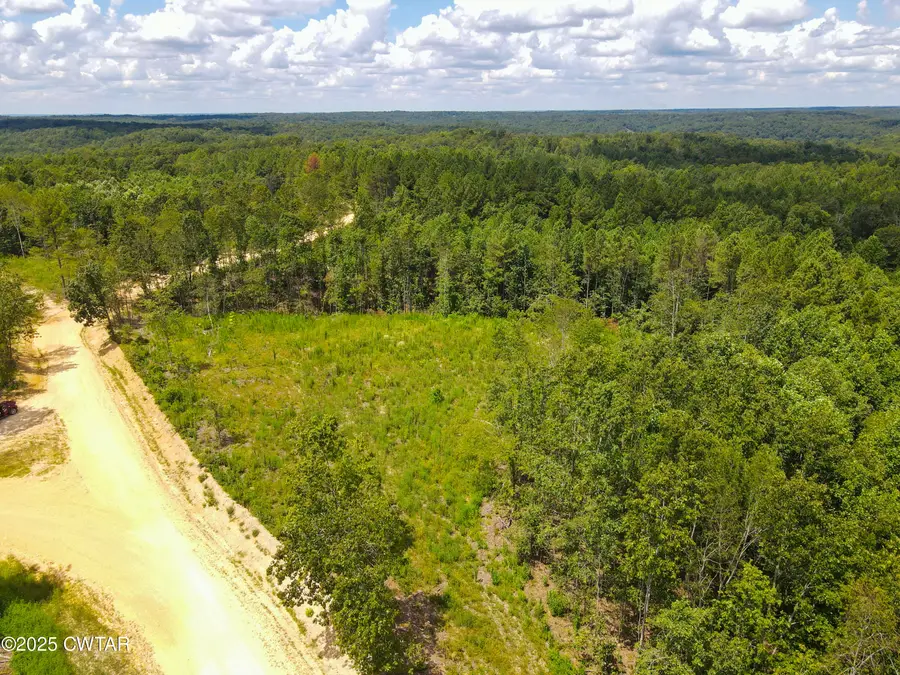 Tract 1 Ray Miller Rd, Sugar Tree, TN 38380 - Image #3