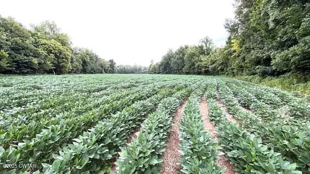 00 Bond Cemetery Road, Denmark, TN 38391 - Image #1