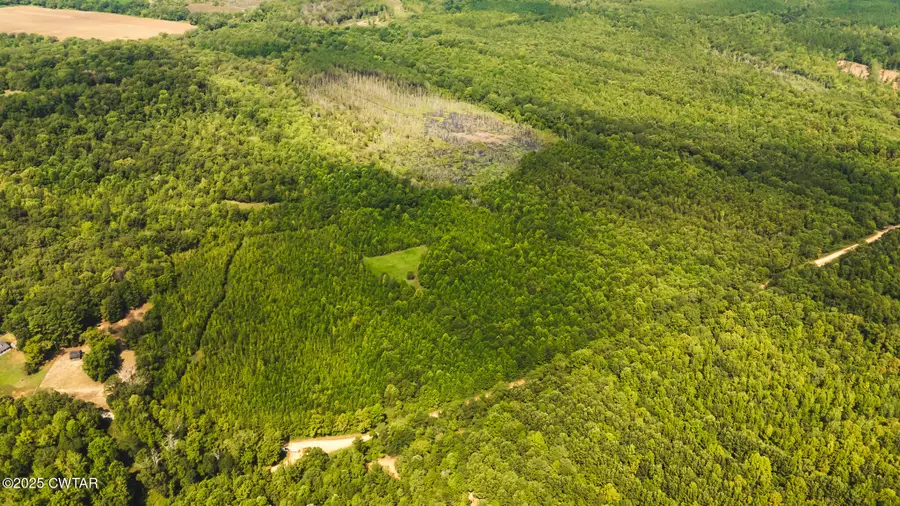 0 Baxter Road, Counce, TN 38326 - Image #2