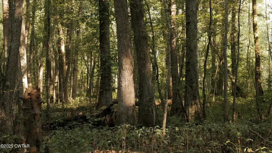 1110 Nuckolls Road, Bolivar, TN 38008 - Image #3