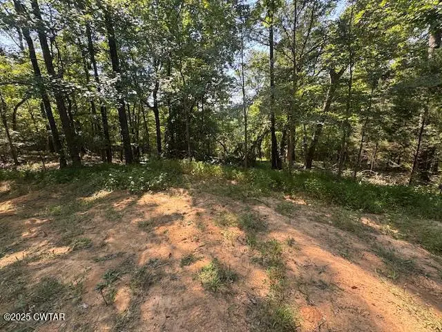 0 Hatch Lane, Yuma, TN 38390 - Image #2