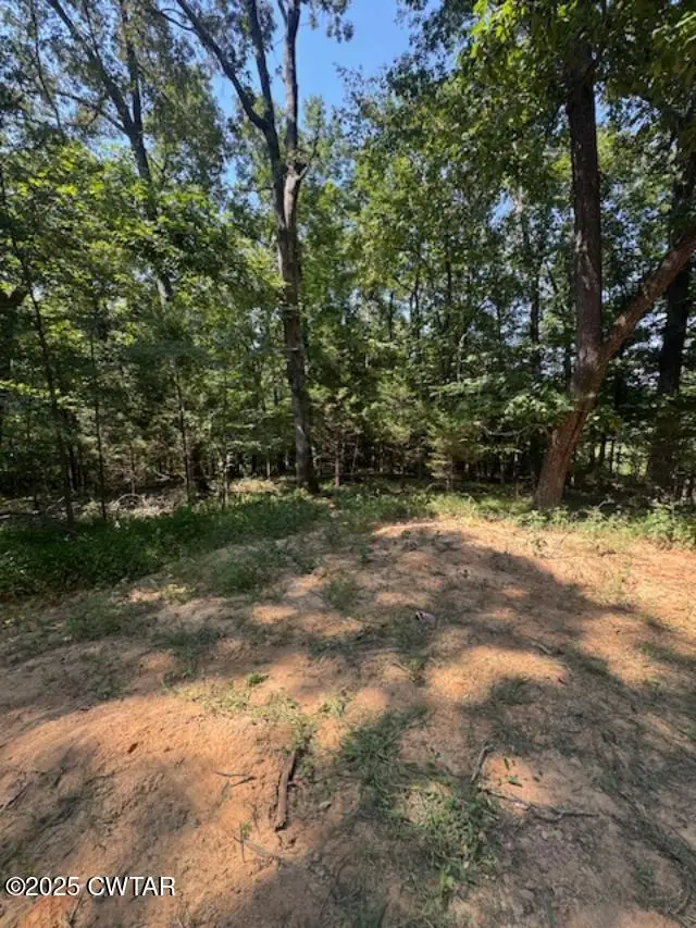 0 Hatch Lane, Yuma, TN 38390 - Image #3