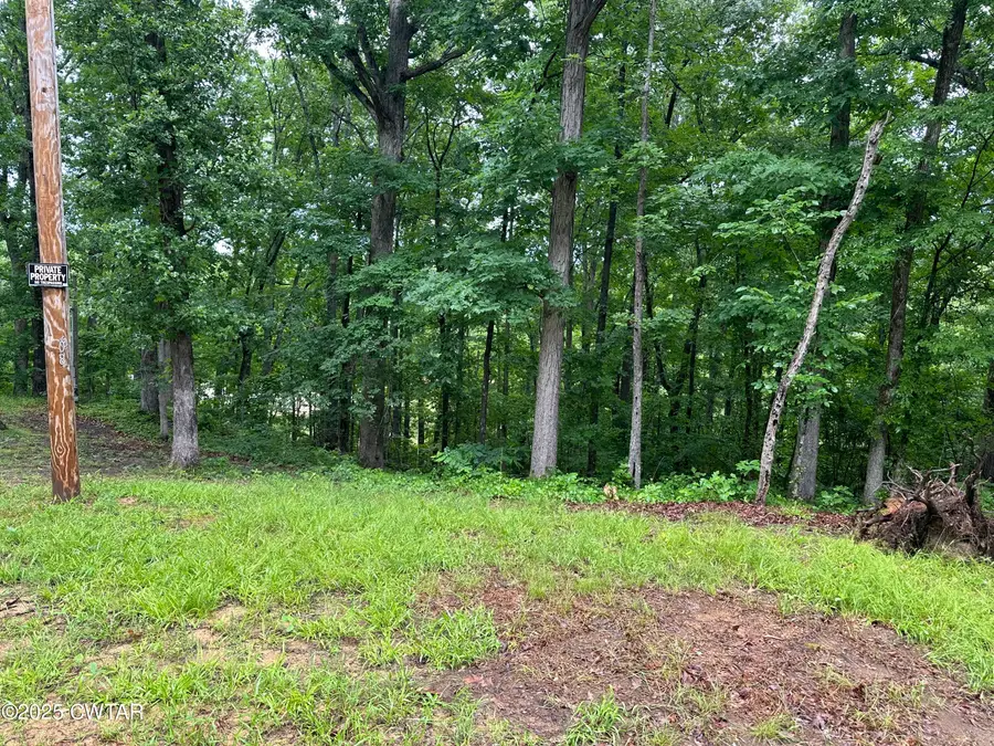 307 Oak Drive, Saulsbury, TN 38067 - Image #3