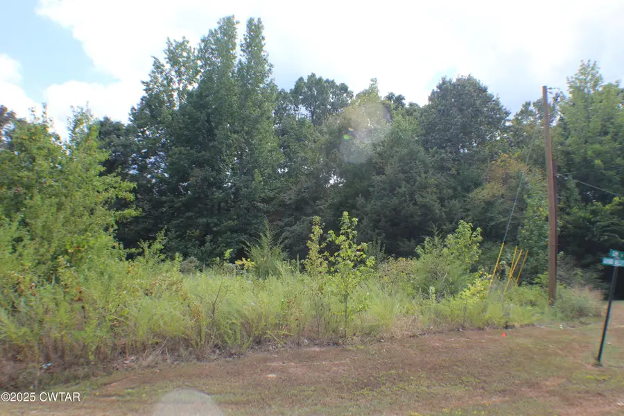 378 Grand Valley Drive, Saulsbury, TN 38067 - #3