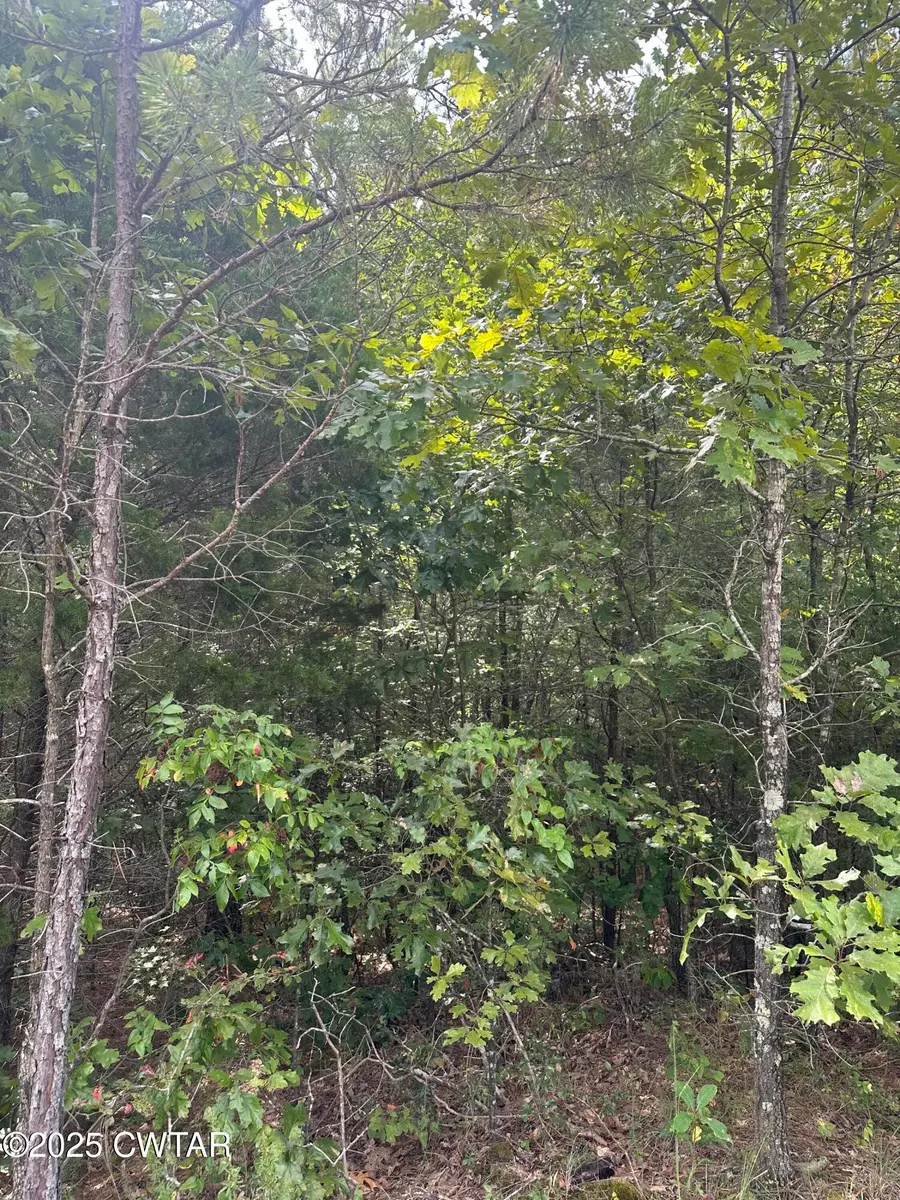 000 Stewart Road, Henderson, TN 38340 - Image #2