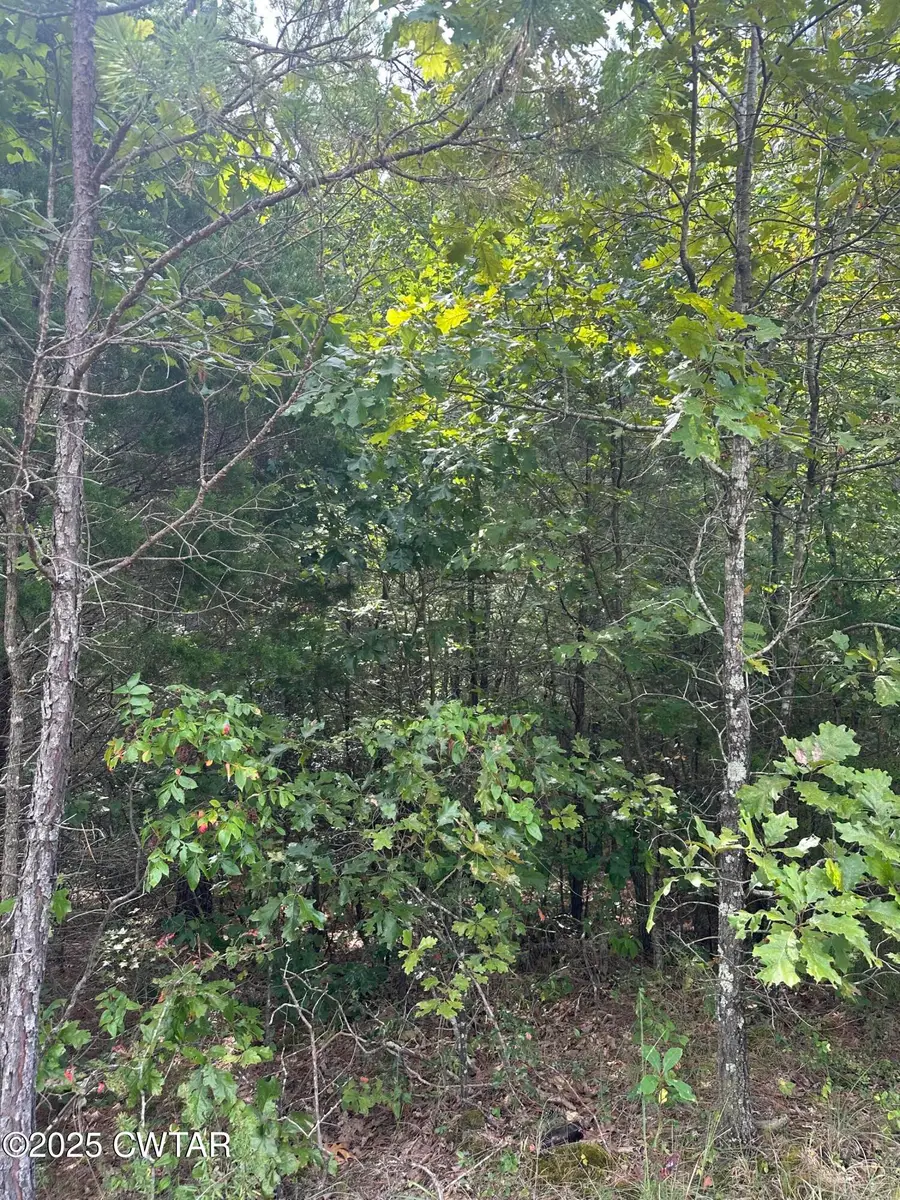 000 Stewart Road, Henderson, TN 38340 - Image #3