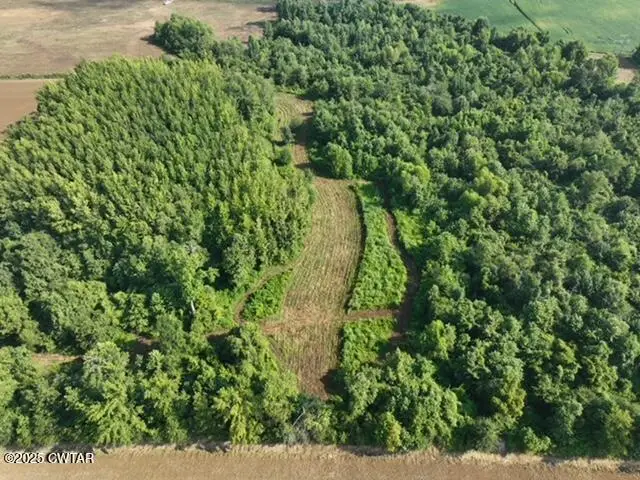 92 Barnes Road, Medina, TN 38355 - Image #3