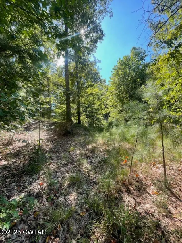 0 Hickory Lane, Lexington, TN 38351 - Image #3