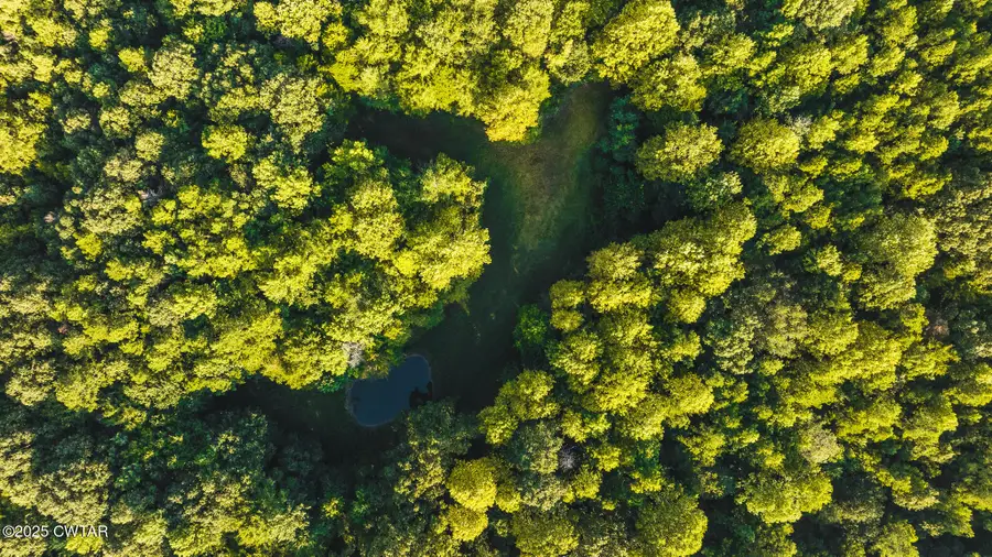 500 Ross Road, McKenzie, TN 38201 - Image #3