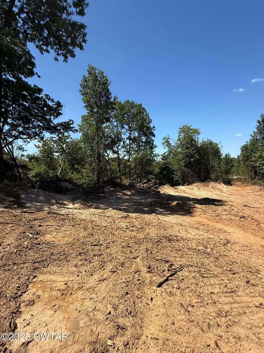 0 Harrison Street, Paris, TN 38242 - Image #3