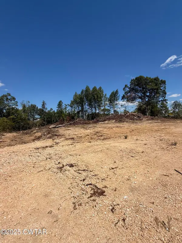 0 Whiskey Ridge Road, Paris, TN 38242