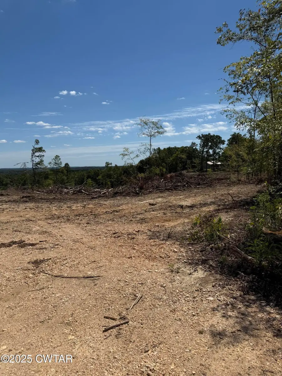 0 Whiskey Ridge Road, Paris, TN 38242 - Image #3